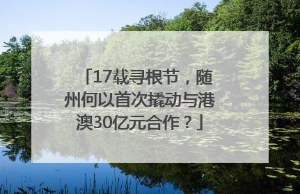 17载寻根节，随州何以首次撬动与港澳30亿元合作？
