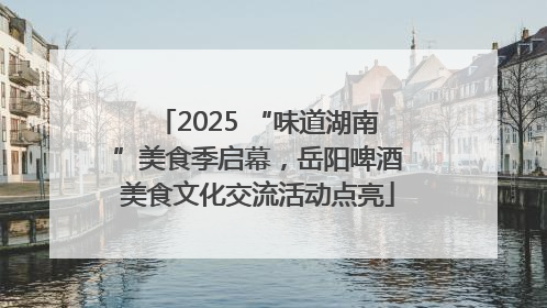 2025 “味道湖南”美食季启幕，岳阳啤酒美食文化交流活动点亮