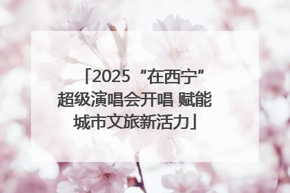 2025“在西宁”超级演唱会开唱 赋能城市文旅新活力