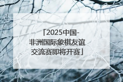 2025中国-非洲国际象棋友谊交流赛即将开赛