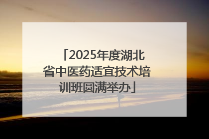 2025年度湖北省中医药适宜技术培训班圆满举办