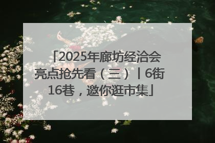 2025年廊坊经洽会亮点抢先看（三）丨6街16巷，邀你逛市集