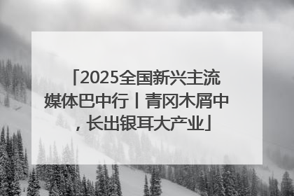 2025全国新兴主流媒体巴中行丨青冈木屑中，长出银耳大产业