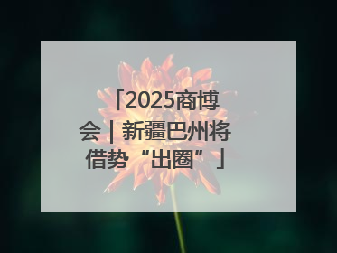 2025商博会｜新疆巴州将借势“出圈”