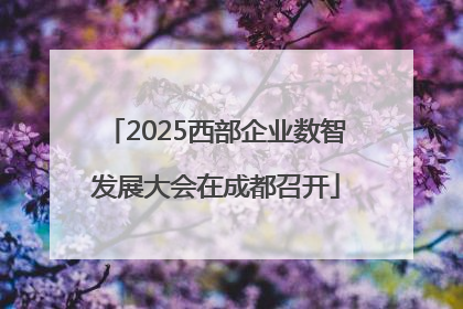 2025西部企业数智发展大会在成都召开
