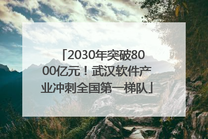 2030年突破8000亿元！武汉软件产业冲刺全国第一梯队