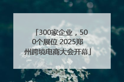 300家企业，500个展位 2025郑州跨境电商大会开幕