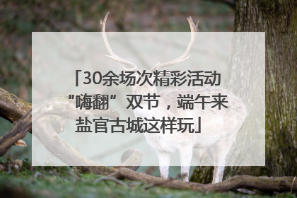 30余场次精彩活动“嗨翻”双节，端午来盐官古城这样玩