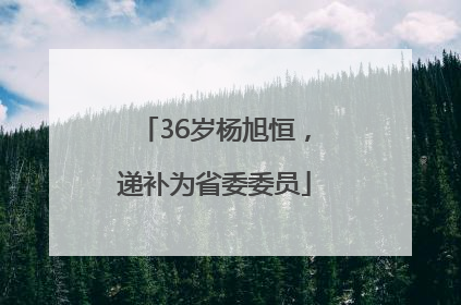 36岁杨旭恒，递补为省委委员
