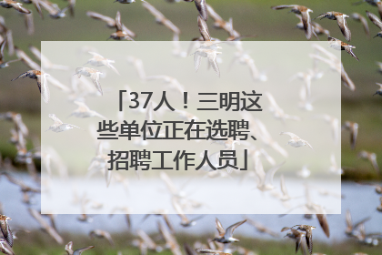 37人！三明这些单位正在选聘、招聘工作人员