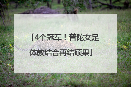 4个冠军！普陀女足体教结合再结硕果