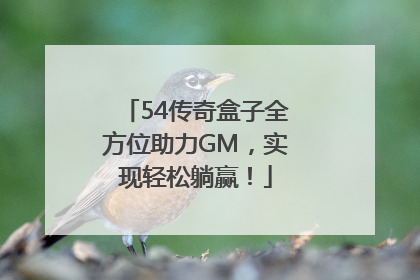 54传奇盒子全方位助力GM，实现轻松躺赢！