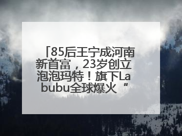 85后王宁成河南新首富，23岁创立泡泡玛特！旗下Labubu全球爆火“一娃难求”