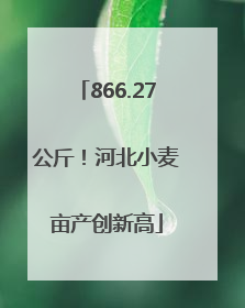 866.27公斤！河北小麦亩产创新高