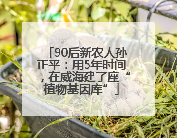 90后新农人孙正平：用5年时间，在威海建了座“植物基因库”