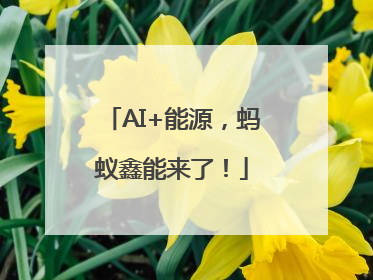 AI+能源，蚂蚁鑫能来了！