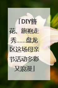 DIY簪花、旗袍走秀……盘龙区这场母亲节活动多彩又浪漫