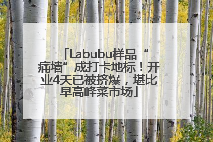 Labubu样品“痛墙”成打卡地标！开业4天已被挤爆，堪比早高峰菜市场