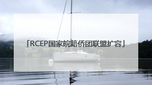RCEP国家皖籍侨团联盟扩容